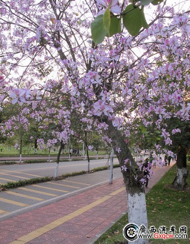 image002.jpg